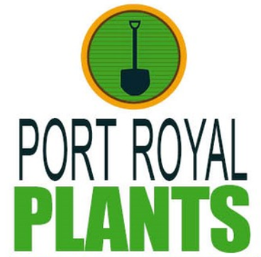 Port Royal Plants