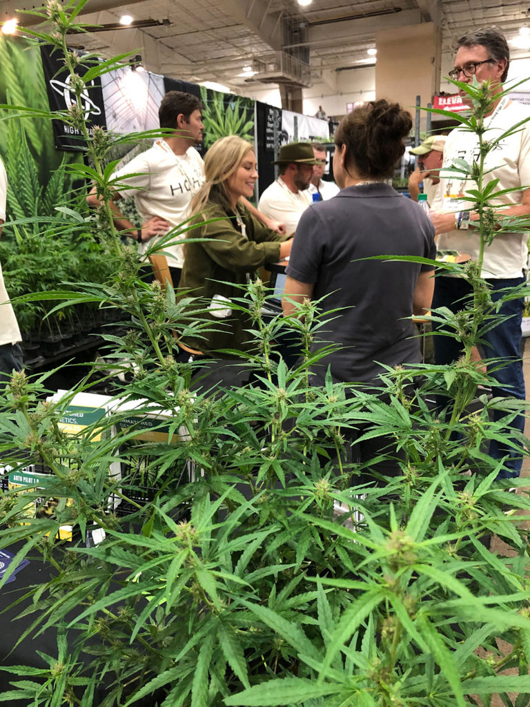 Schedule Southern Hemp Expo